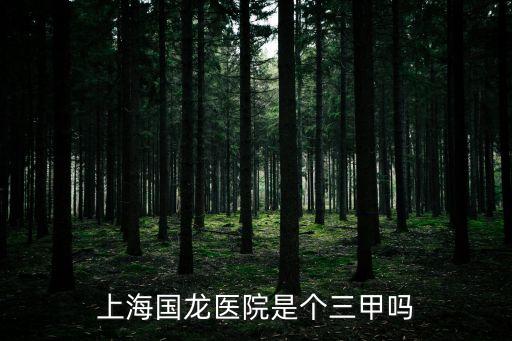 上海國龍醫院是個三甲嗎