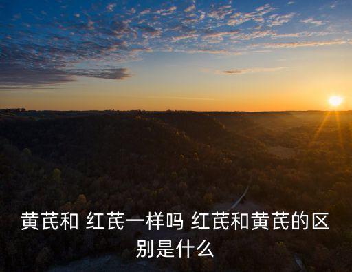 黃芪和 紅芪一樣嗎 紅芪和黃芪的區別是什么