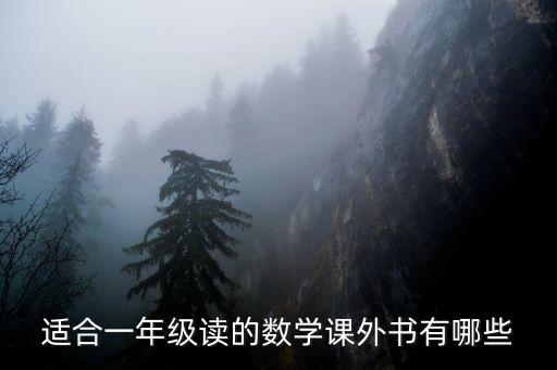 適合一年級讀的數(shù)學(xué)課外書有哪些