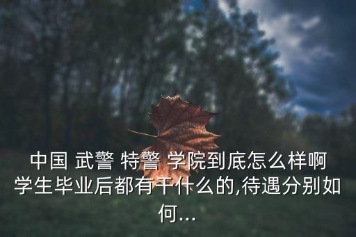 武警特警學(xué)院,報考武警特警學(xué)院近視手術(shù)恢復(fù)好就可以去