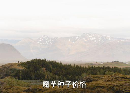 魔芋種子價格