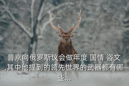 普京向俄羅斯議會做年度 國情 咨文,其中他提到的領先世界的武器都有哪些...