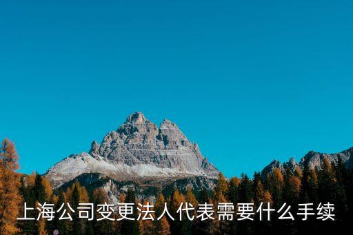 上海市企業(yè)法人變更，上海注冊公司變更法人需要哪些材料