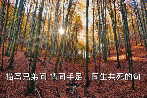 描寫兄弟間 情同手足、同生共死的句子