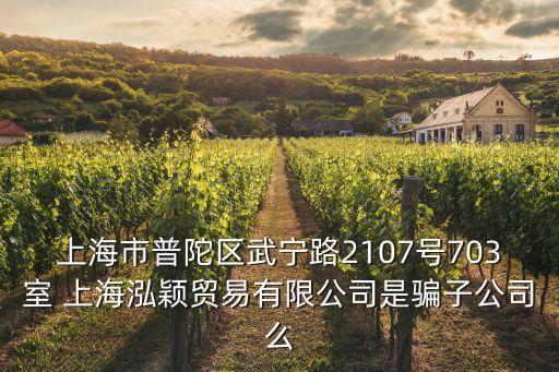 上海市普陀區武寧路2107號703室 上海泓穎貿易有限公司是騙子公司么