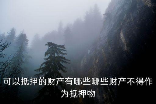 抵押物，貸款抵押物的具體特性是什么緊急