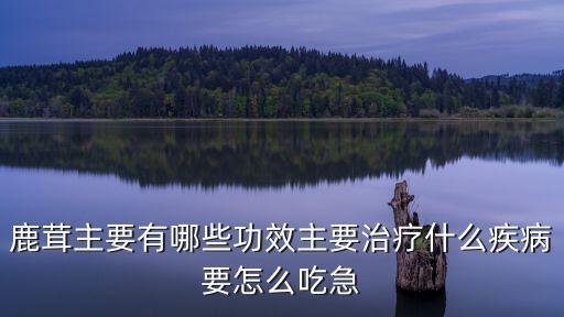 鹿茸主要有哪些功效主要治療什么疾病要怎么吃急