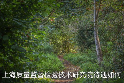 上海質量監(jiān)督檢驗技術研究院待遇如何
