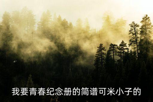 我要青春紀念冊的簡譜可米小子的