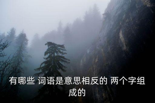 兩個字意思相反的詞語,同義詞不能顛倒使用有趣且對立的詞