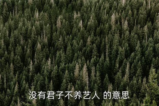 沒有君子不養藝人 的意思