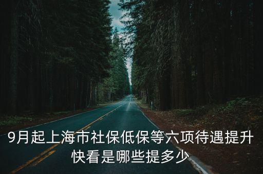 上海市最低生活保障費標準，上海市城鎮(zhèn)低保費每月多少元