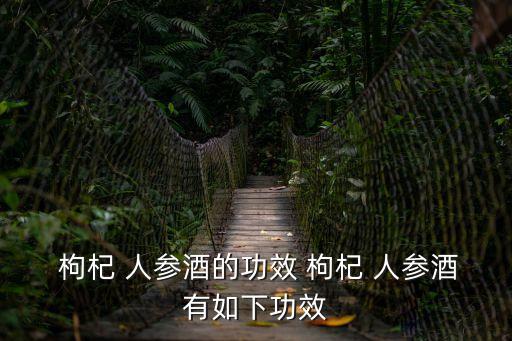  枸杞 人參酒的功效 枸杞 人參酒有如下功效