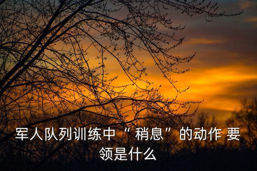 軍人隊(duì)列訓(xùn)練中“ 稍息”的動(dòng)作 要領(lǐng)是什么