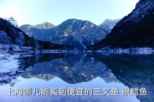 上海市水產市三文魚價格，上海哪里的水產市場能批發到三文魚