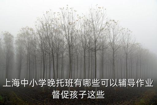 上海市教委晚托班，上海中小學晚托班有哪些可以輔導作業督促孩子這些