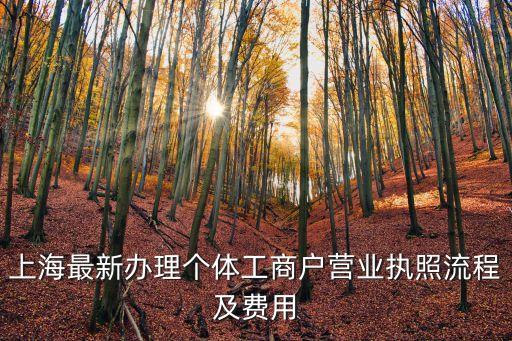 上海最新辦理個(gè)體工商戶營業(yè)執(zhí)照流程及費(fèi)用