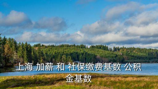 上海 加薪 和 社保繳費基數 公積金基數