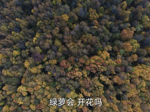  綠蘿會 開花嗎