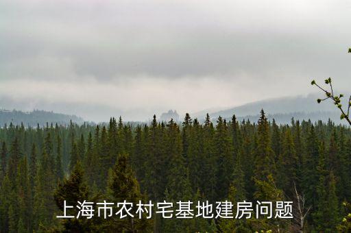 上海市農村宅基地建房問題