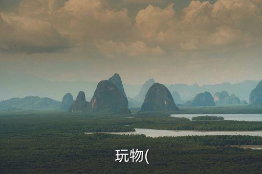  玩物(