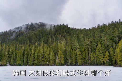 韓國太陽,韓國太陽隆鼻假體隆鼻需求不同隆鼻方式