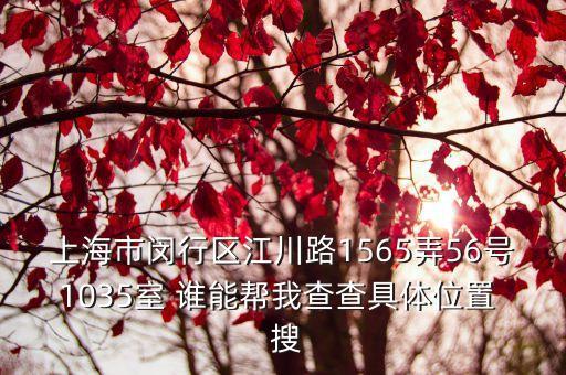 上海市閔行區(qū)江川路1565弄56號1035室 誰能幫我查查具體位置  搜