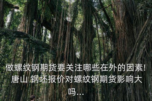 做螺紋鋼期貨要關注哪些在外的因素! 唐山 鋼坯報價對螺紋鋼期貨影響大嗎...