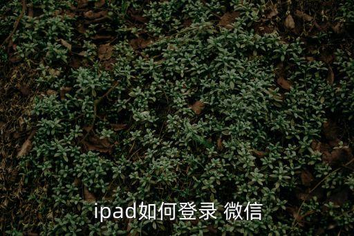 ipad微信,如何登錄ipad?