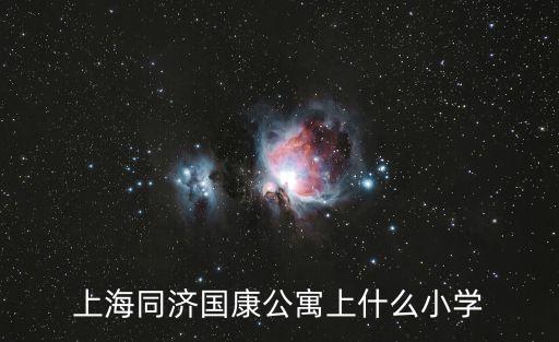 上海同濟國康公寓上什么小學