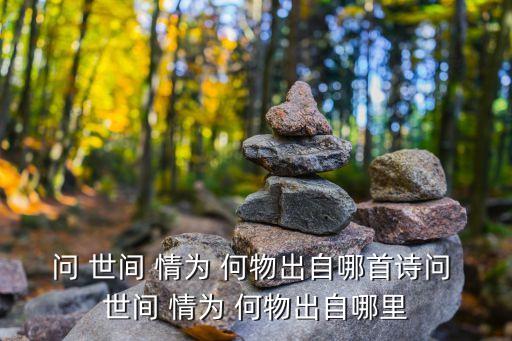 問世間情為何物,《摸魚與秋艷詞》第一句出自元好問