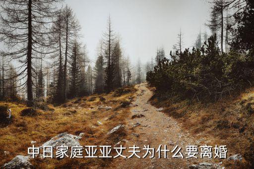 孟庭葦老公,孟庭葦離婚的原因是什么?