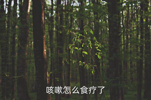 咳嗽怎么食療了