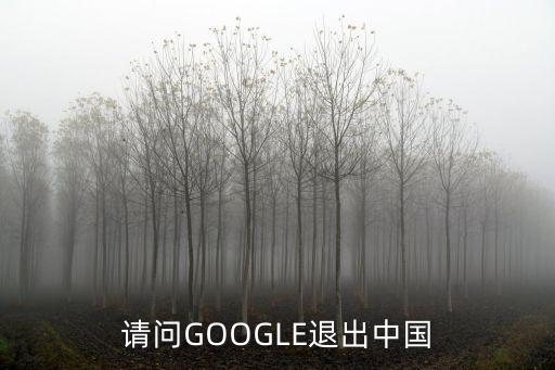 谷歌退出中國，谷歌目前是不是已經正式退出中國市場