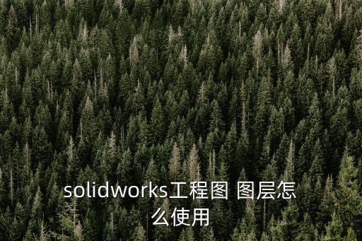 圖層怎么用,如何復制和隱藏sw圖層?步驟（一）