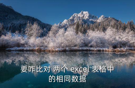 要咋比對 兩個 excel 表格中的相同數據