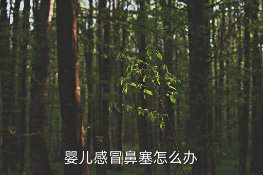 嬰兒感冒鼻塞怎么辦