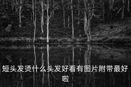 短頭發(fā)燙什么頭發(fā)好看有圖片附帶最好啦