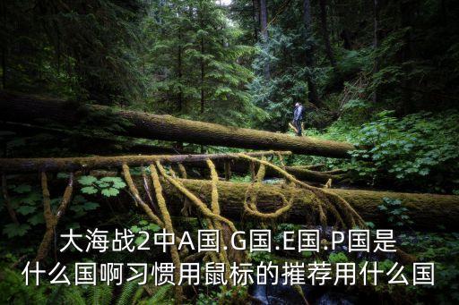 大海戰2中A國.G國.E國.P國是什么國啊習慣用鼠標的摧薦用什么國