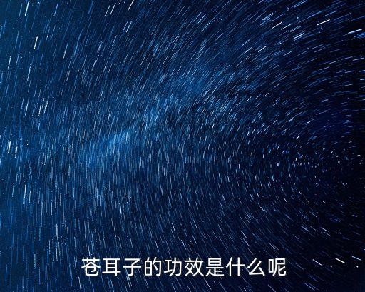  蒼耳子的功效是什么呢