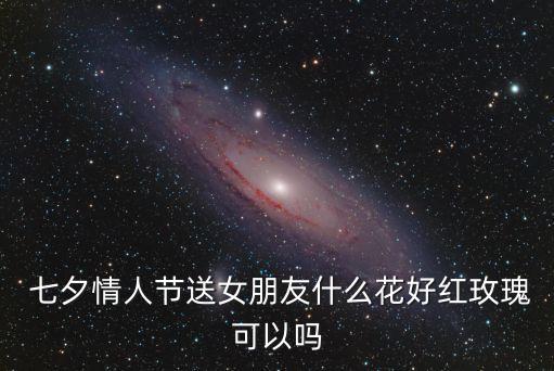  七夕情人節送女朋友什么花好紅玫瑰可以嗎