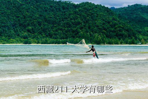 西藏有什么大學,中國12所大學對口支援西藏高原成立大學