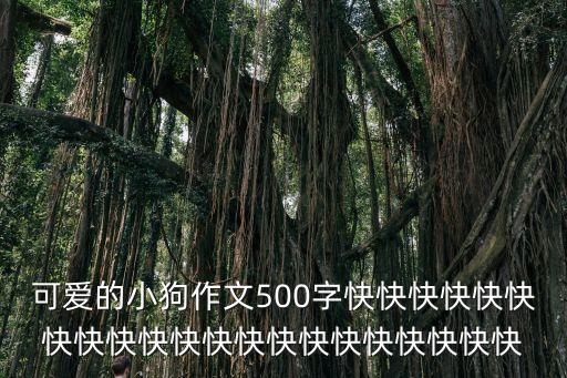 可愛的小狗作文，可愛的小狗作文300字