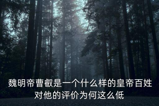 魏明帝曹睿,曹操是好皇帝!