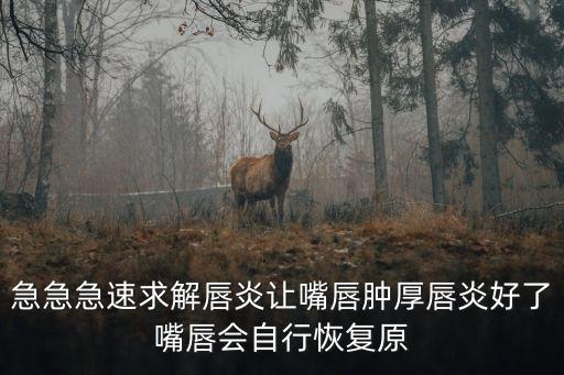 急急急速求解唇炎讓嘴唇腫厚唇炎好了嘴唇會自行恢復原