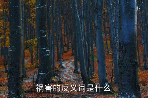 禍害的反義詞是什么