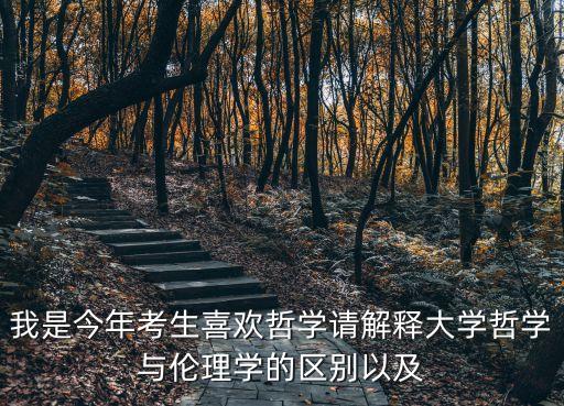 我是今年考生喜歡哲學請解釋大學哲學與倫理學的區別以及