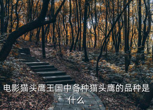 貓頭鷹種類，世界上有多少種貓頭鷹