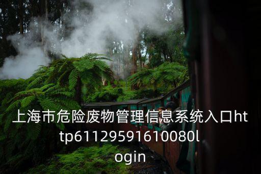 上海市危險(xiǎn)廢物管理信息系統(tǒng)入口http61129591610080login
