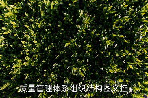 組織構(gòu)架圖，visio組織架構(gòu)圖怎么畫啊